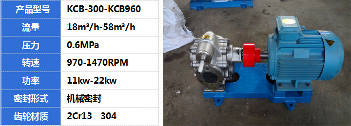 KCB不鏽鋼齒輪泵(bèng)產(chǎn)品展示 KCB不鏽鋼齒輪泵產品展示