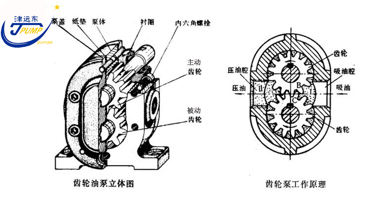 2CG硬齒麵渣(zhā)油泵剖析(xī)圖 2CG硬齒麵渣(zhā)油(yóu)泵剖析圖