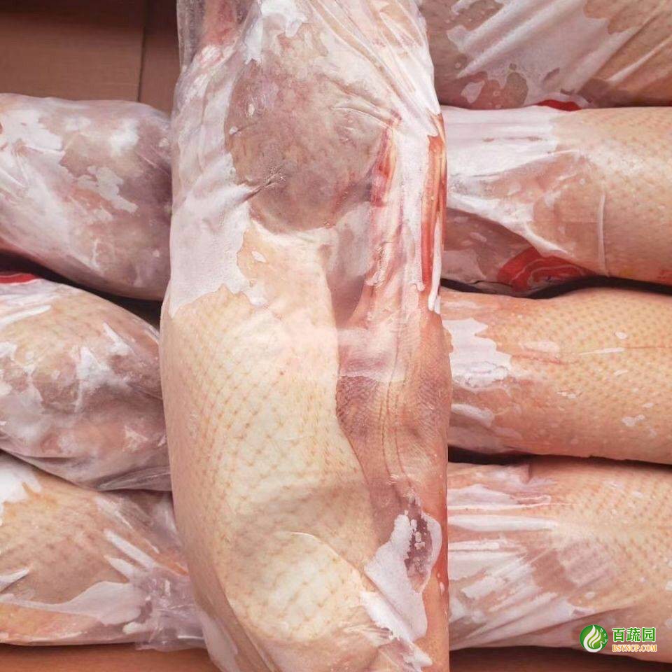 凍白（bái）條鴨配送