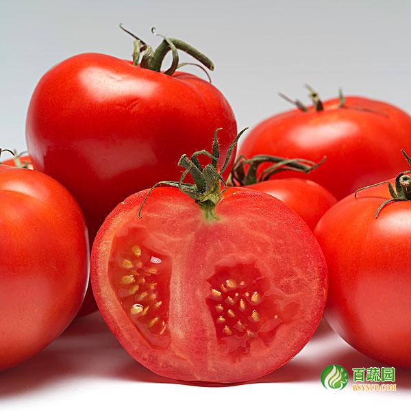 西紅柿配(pèi)送