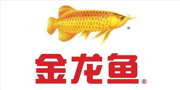 金龍魚